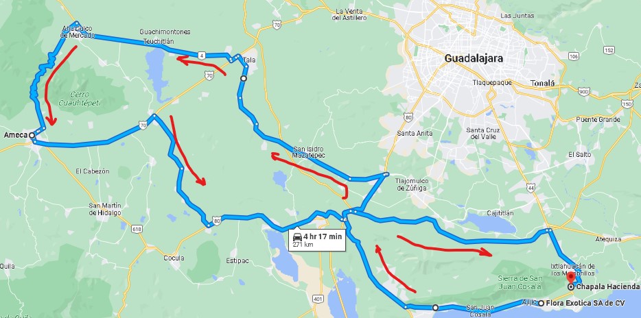 Ameca Loop (alt) ride map